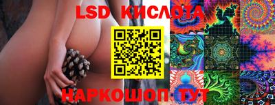 гидра Ярославль