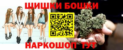 гидра Ярославль