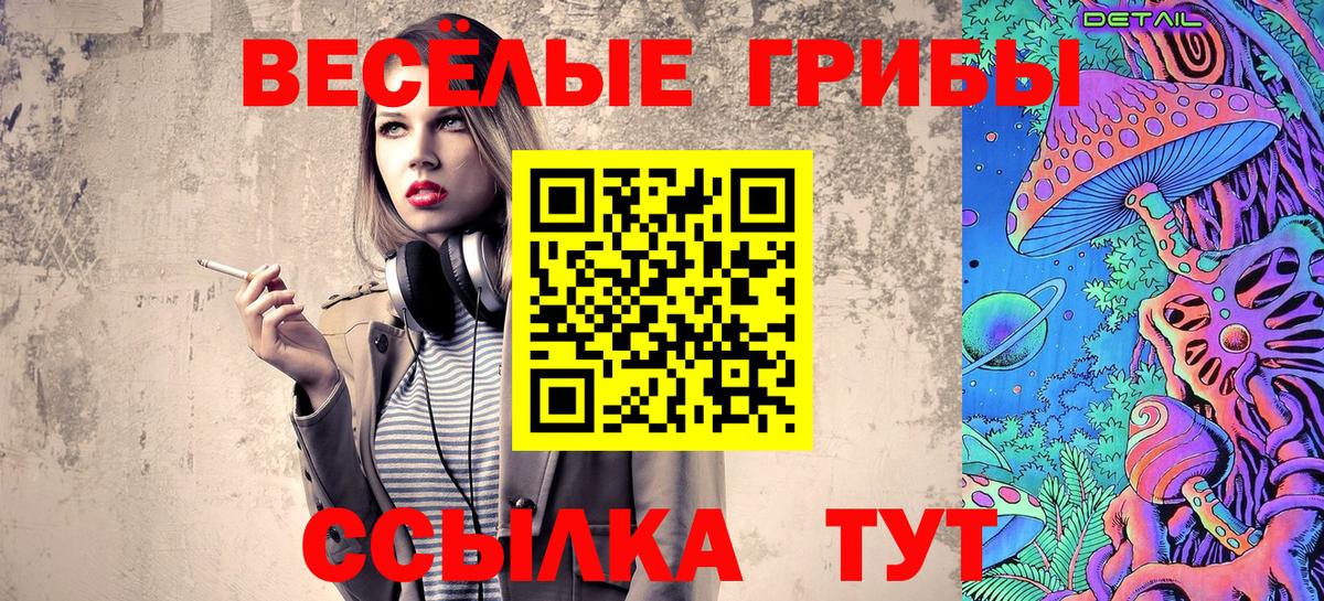 Черкесск  Галлюциногенные грибы Psilocybine cubensis  Вход с VPN 